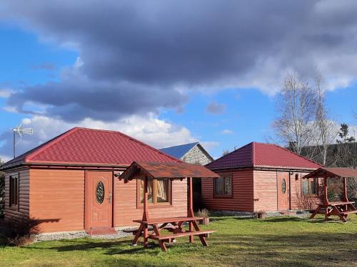 una cabina in legno con un tavolo da picnic sull'erba di Agroturystyka nad Biebrza Sośniaki a Goniadz