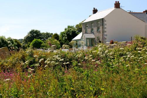 a field of flowers in front of a house at Fig Tree House in Penryn