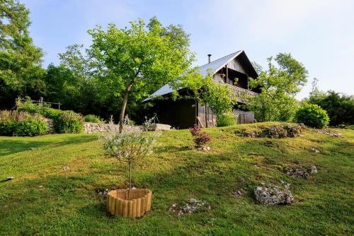 een boom in een pot voor een huis bij Počitniška hiša ErOs in Bohinj