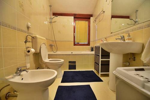 a bathroom with a sink and a toilet and a sink at Central Park Gallery in Sarajevo