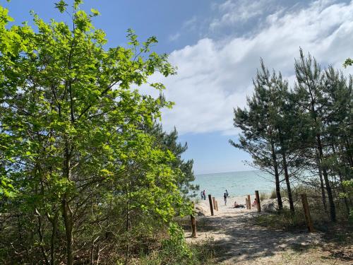 una playa con árboles y gente en la playa en FeWo Prora - Designapartment Sir Henry, en Binz