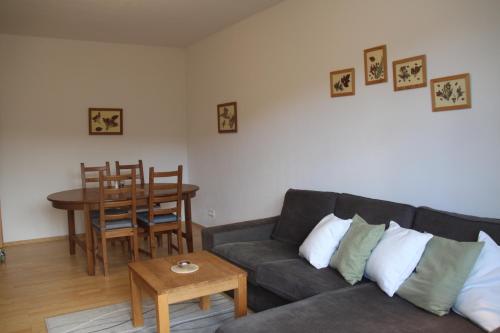 Un lugar para sentarse en Cozy apartment in Bedřichov - Špindlerův Mlýn