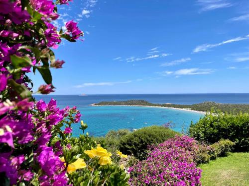 een uitzicht op een strand met paarse bloemen bij SAN TEODORO PUNTA EST SPETTACOLARE QUADRILOCALE VISTA MARE in Capo Coda Cavallo