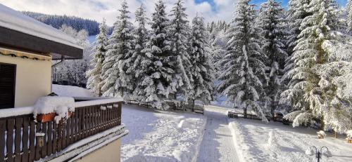 Am Kaltenbach - Spital am Semmering, Stuhleck during the winter