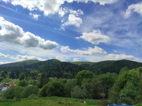 vista su una montagna con alberi e cielo azzurro di Zakątek Włóczykija a Cisna