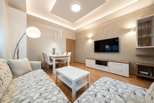 TV i/ili zabavni centar u objektu Apartment BlueBird Katowice near Spodek MCK & City Center