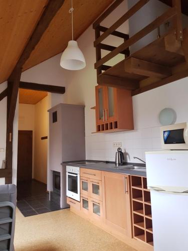 a kitchen with wooden cabinets and a counter top at Apartments Cederika in Věžovatá Pláně