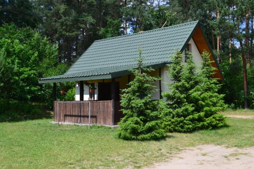 een kleine hut met een groen dak en twee bomen bij Domek w Sajenku in Augustów