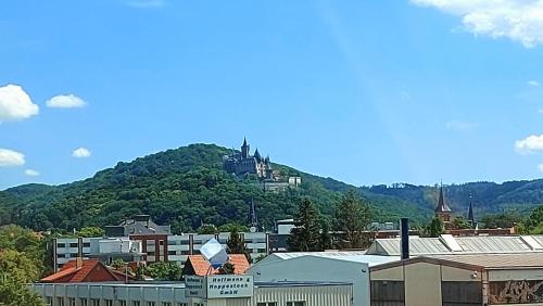 a town with a castle on top of a mountain at Rummy's Ferienwohnung mit Garten in Wernigerode