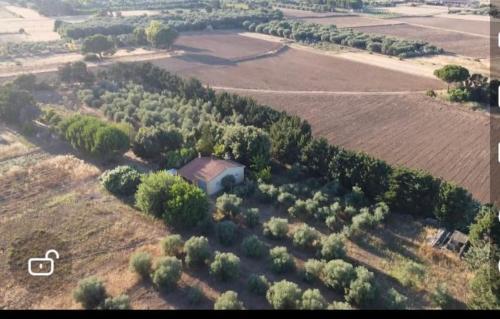 an aerial view of a house in a field at Casa Margherita in Càbras