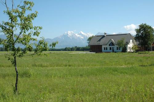 dom w polu z górami w tle w obiekcie Bed & Breakfast Na Poljani w mieście Kranj