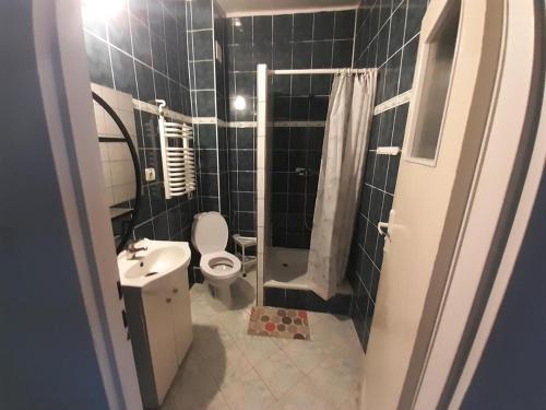 uma casa de banho com um WC, um lavatório e um chuveiro em OŚRODEK WYPOCZYNKOWY MAZOWSZE W KARPACZ em Karpacz