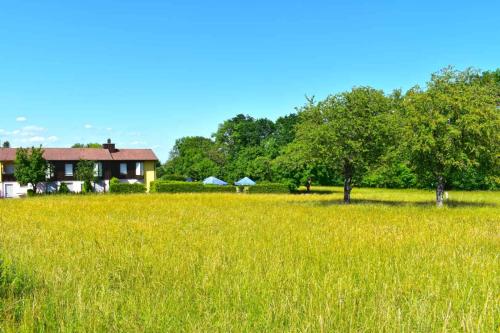 um campo de relva alta com uma casa ao fundo em Hotel und Restaurant Nehrener Hof em Nehren