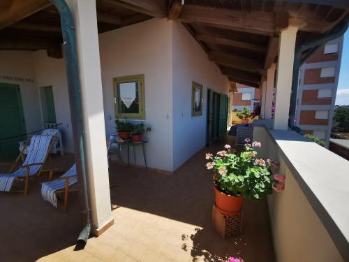 - une vue depuis le balcon d'une maison avec une plante en pot dans l'établissement Casamare Hotel, à San Vincenzo