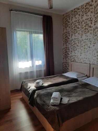 um quarto com 2 camas e uma janela em Royal Galaxy apartment em Kazbegi