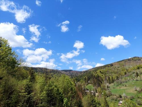 vista su una valle con alberi e cielo azzurro di Villa Gold a Jaremče