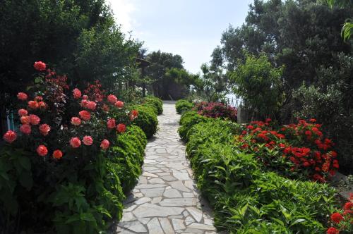 A garden outside ΤΟΥΡΙΣΤΙΚΕΣ ΕΠΙΠΛΩΜΕΝΕΣ ΚΑΤΟΙΚΙΕΣ φροσω χωριατη