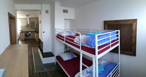 Cama ou camas em um quarto em Apartmán Pasohlávky