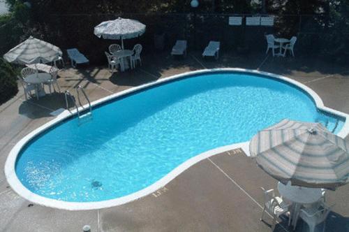 een groot blauw zwembad met parasols en stoelen bij Motel Du Chevalier in Gatineau