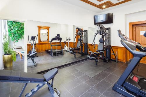 - une salle de sport avec des tapis roulants et des équipements de cardio-training dans l'établissement Star-Apart Hansa Hotel, à Wiesbaden