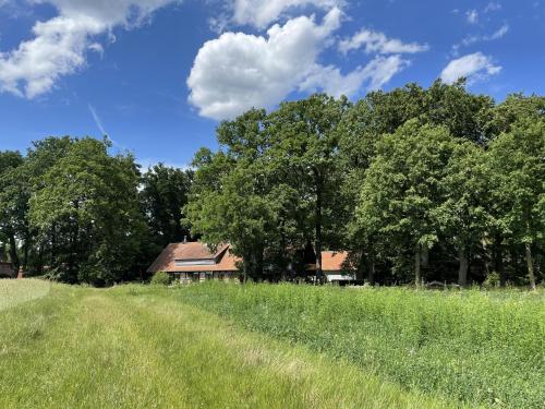 Pokrajina v okolici apartmaja