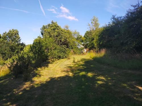 un chemin de terre avec des arbres sur le côté d'un champ dans l'établissement Tiny Messancy, une immersion dans la nature !, à Messancy