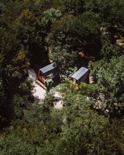 Eco Village In The Forest