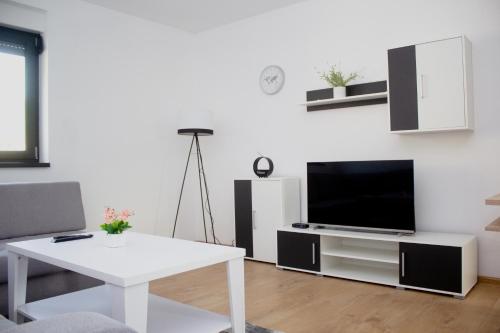 TV i/ili multimedijalni sistem u objektu Apartments Swiss Travnik