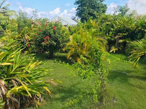 un jardín con césped verde, plantas y flores en Villa Sous le Manguier-Anse Bertrand 5min plage, en Anse-Bertrand