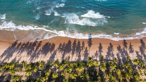 einen Blick über den Strand mit Palmen in der Unterkunft Pousada Encanto da Lua in Barra Grande