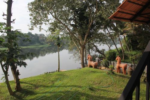 Vista de un río que corre cerca del bed and breakfast