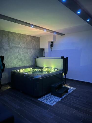 Galeri foto LE 46 : Superbe appartement jacuzzi di Besancon