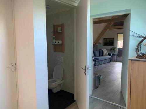 a bathroom with a toilet and a living room at Bed en Boomgaard in Giethoorn