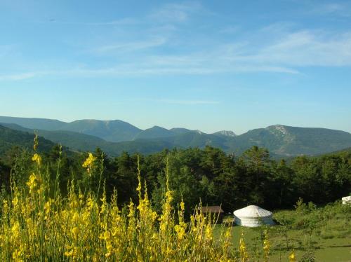 山林小屋附近的自然景觀