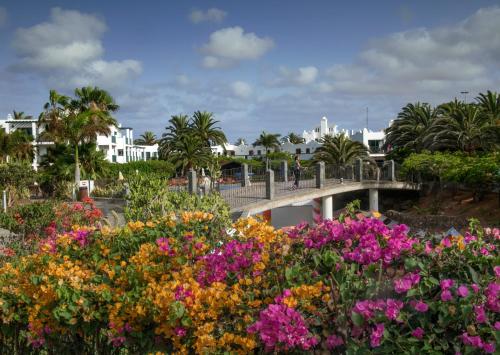 Vrt pred nastanitvijo Las Marismas de Corralejo