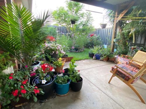 a patio with a bunch of potted plants and a chair at ENTIRE HOME IN WERRIBEE,BEST POSSIBLE LOCATION YOU CAN FIND in Werribee