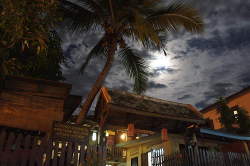 un palmier devant un bâtiment avec une clôture dans l'établissement Khonesavane Hostel, à Luang Prabang