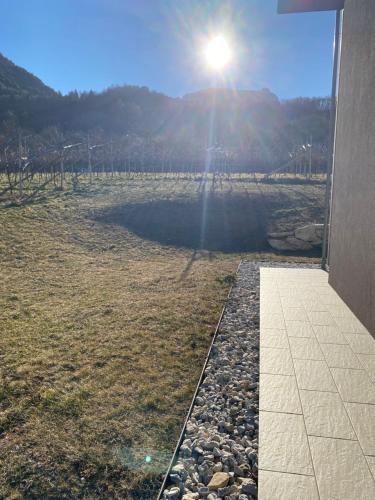 a view of a field with the sun in the sky at Agritur Verderame in Trento