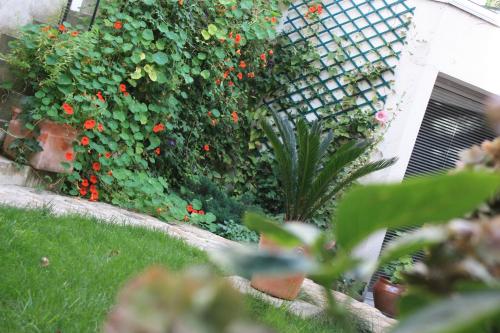 a garden with red flowers and a fence at Le Clos Saint Nizier in Troyes