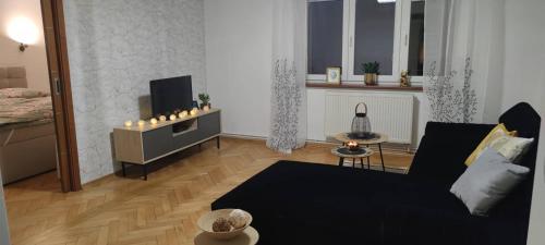 Apartmán Višňovka में टेलीविजन और/या मनोरंजन केंद्र