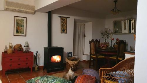 a living room with a fireplace and a dog sitting on the floor at Casa da Muralha in Estremoz