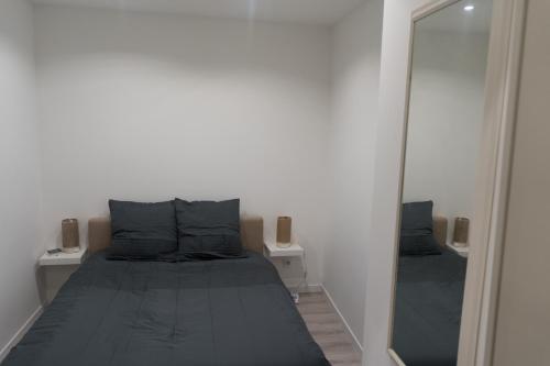 um quarto com uma cama e um espelho grande em Charmant appartement 2 pièces em Valence