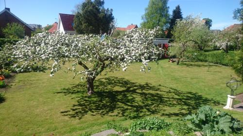 Un jardín fuera de Bymarkens B&B