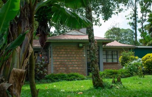 ein Haus mit einer Palme davor in der Unterkunft Zoe Homes 1br and 2br Cottage own compound -Kericho town near Green Square mall in Kericho