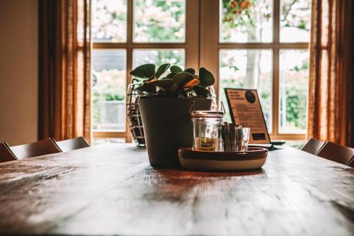 uma mesa com um vaso de planta e um potenciômetro sobre ele em CRASH'NSTAY - 't Silo Huis em Sprang-Capelle