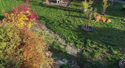 a dog laying on the grass in a garden at Ländliche Idylle in Hochfranken in Regnitzlosau