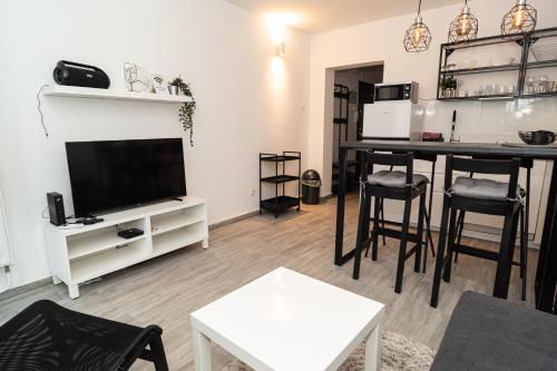 Televízia a/alebo spoločenská miestnosť v ubytovaní Apartman Ina