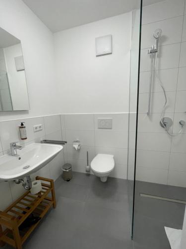 een badkamer met een toilet, een wastafel en een douche bij greenpartment Boardinghousehotel Kelheim in Kelheim