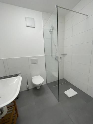 een badkamer met een douche, een toilet en een wastafel bij greenpartment Boardinghousehotel Kelheim in Kelheim