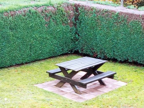 a picnic table in front of a green wall at Chez Vivi et Jean Pierre Maison 8 à 9 personnes au calme vue montagne WIFI in Gérardmer